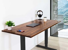 Effydesk Home Electric Height Adjustable Home Office Computer Standing Desk